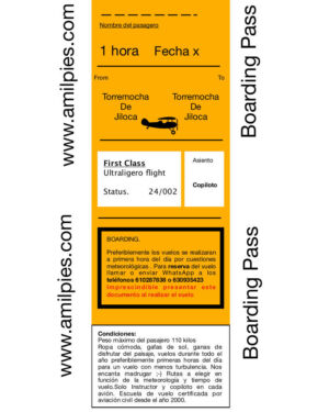 Vuelo turístico iniciación